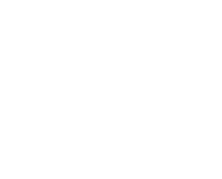 Logo Phoenix Ink Bali