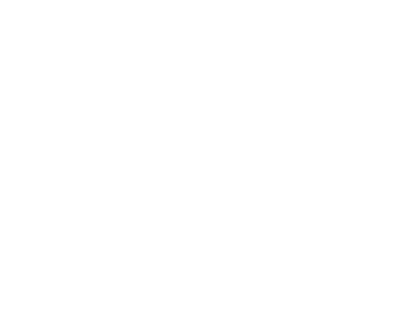 Logo Phoenix Ink Bali